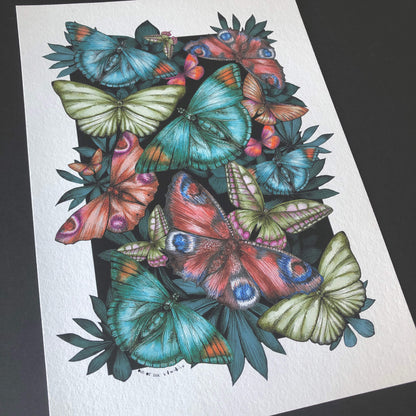 Detailed art print of multiple different types of butterflies. 