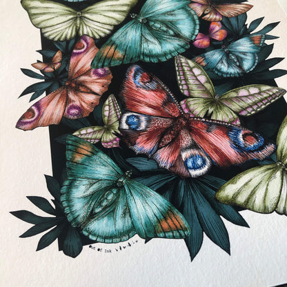 close up view of detailed hand-drawn butterfly and moth art print .